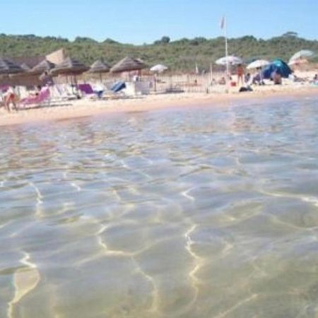 Vila La Casa Di Angy Terrasini Exteriér fotografie